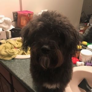 Meet your Posher, Paul